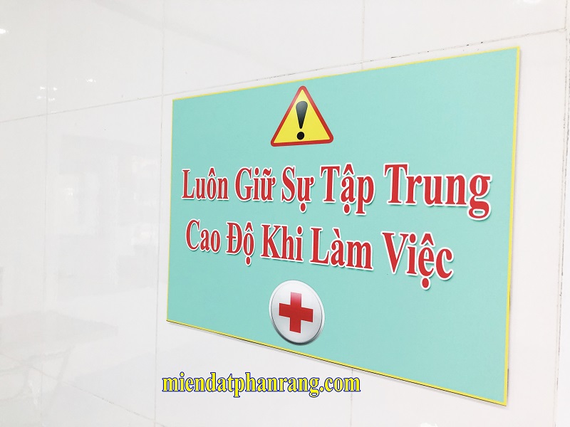 Mủ trôm cánh trắng